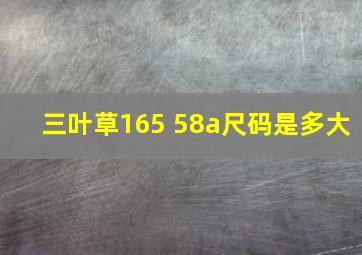 三叶草165 58a尺码是多大